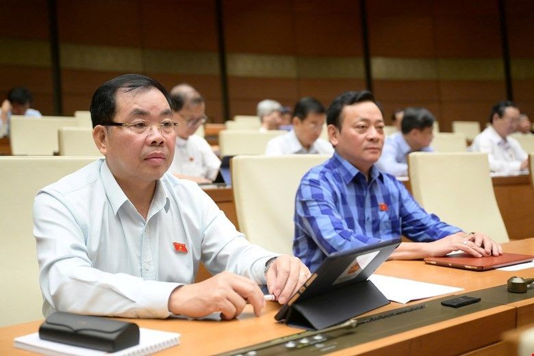 Các đại biểu Quốc hội tại phiên họp.