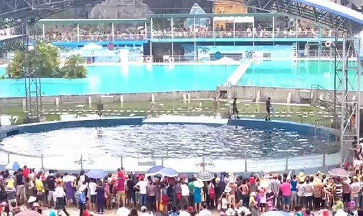 Lễ hội được tổ chức tại Thiên đường Bảo Sơn