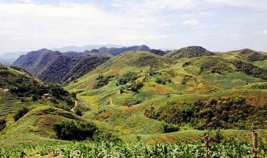  Một góc “thung lũng trường sinh” Lũng Vân