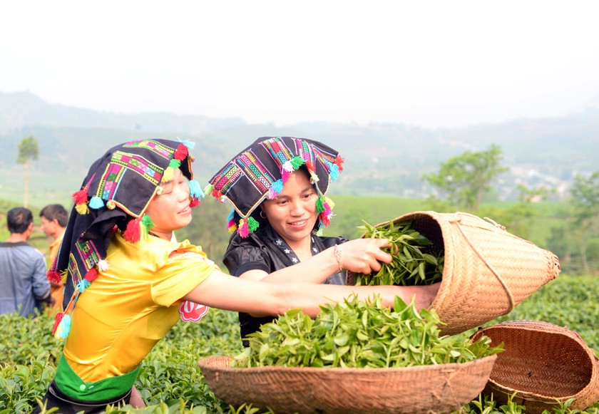 Sơn nữ Lai Châu khoe tài trong Lễ Hội Trà