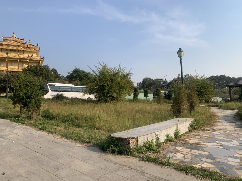 Nơi đây cỏ mọc um tùm nên ít người qua lại dù nằm ngay trung tâm Đà Lạt.