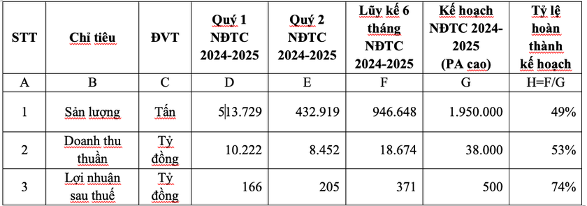Bảng tổng hợp kết quả kinh doanh hợp nhất của HSG 6 tháng đầu NĐTC 2024 - 2025.