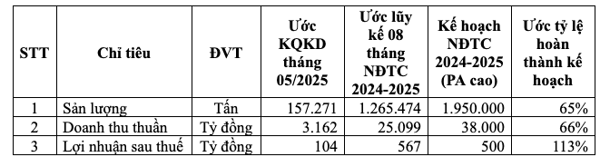 Kết quả kinh doanh lũy kế 8 tháng đầu NĐTC 2024-2025 của Hoa Sen Group.