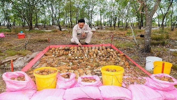 Lực lượng chức năng kiểm tra vật liệu nổ như đạn pháo, rốc két, đạn cối, lưu đạn