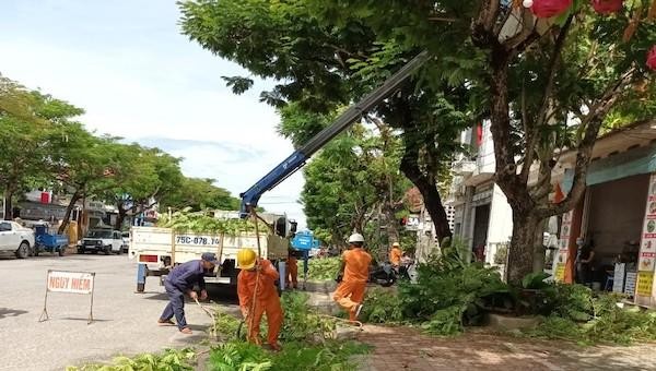 Phát quang hành lang tuyến để hạn chế tối đa cây ngã đổ vào đường dây điện