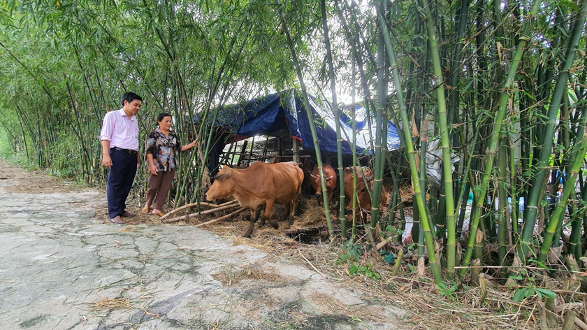 Nguồn vốn tín dụng chính sách xã hội đã giúp bà Vân Mỹ vượt khó vươn lên làm giàu trên chính quê hương mình