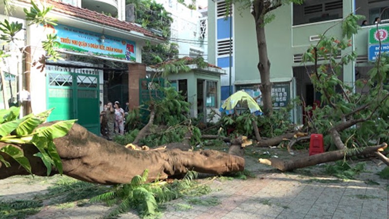 TP HCM yêu cầu đảm bảo an toàn trong trường học, tránh tai nạn đáng tiếc. 