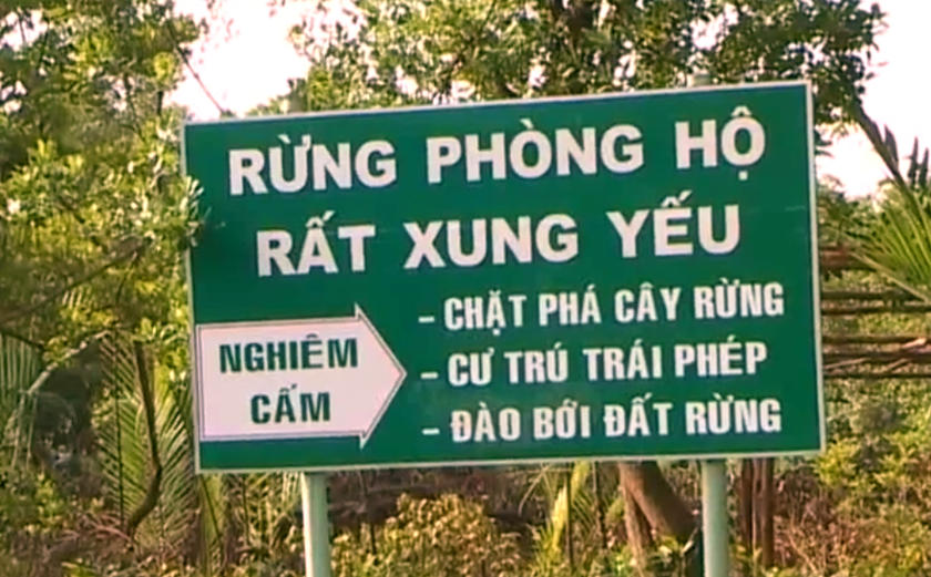 Rừng phòng hộ rất xung yếu, nghiêm cấm chặt phá cây rừng, cư trú trái phép, đào bới đất rừng.