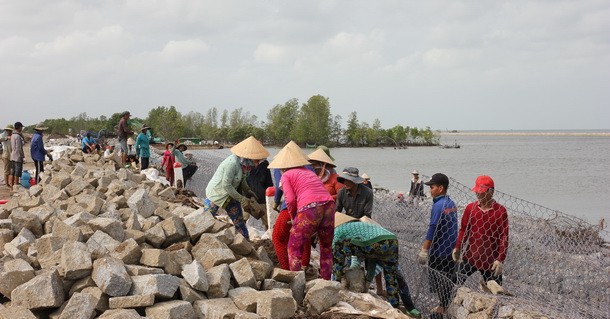 Cà Mau tìm giải pháp lâu dài đối phó sụt lún, sạt lở: Hành động và kỳ vọng