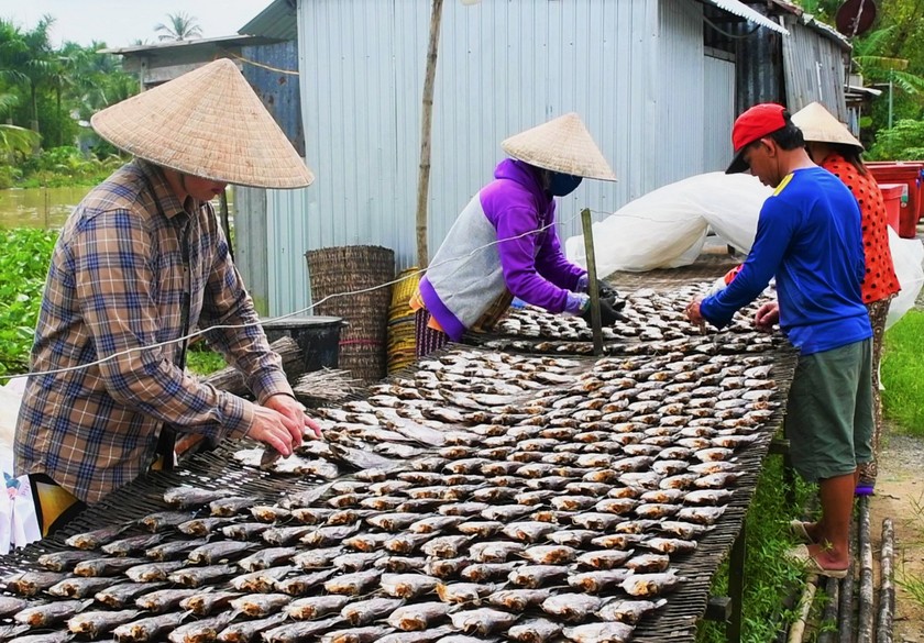 Nâng cao chất lượng thương hiệu cá khô bổi ở Cà Mau | Báo Pháp luật Việt Nam điện tử