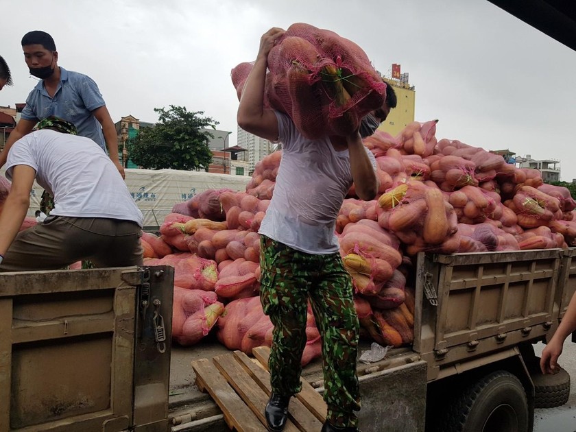 Vận chuyển hàng hoá lên tàu.