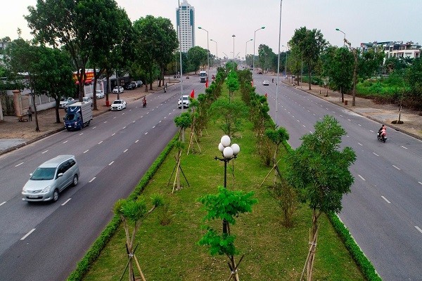 Đại lộ Võ Nguyên Giáp (TP. Hải Dương) những hàng cây hoa ban bắt đầu xanh tốt trở lại