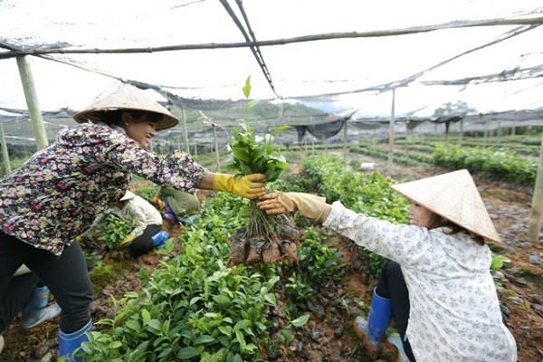 Lào Cai: Công tác giảm nghèo đạt và vượt mục tiêu Nghị quyết Đại hội Đảng bộ tỉnh khóa XV