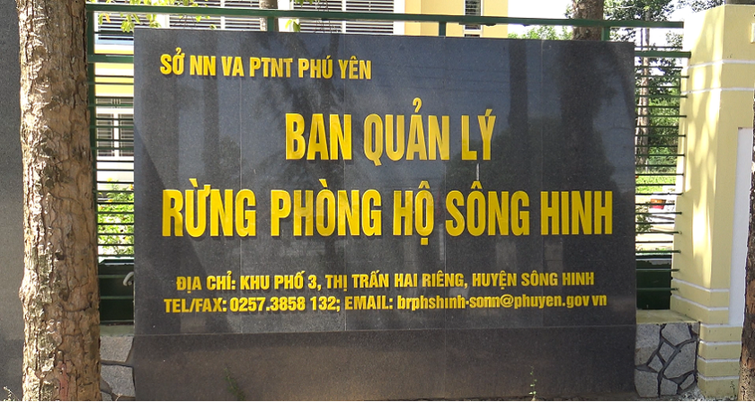 Rừng phòng hộ Hòn Đen sông Hinh "chảy máu" còn trạm kiểm lâm "cửa đóng then cài"