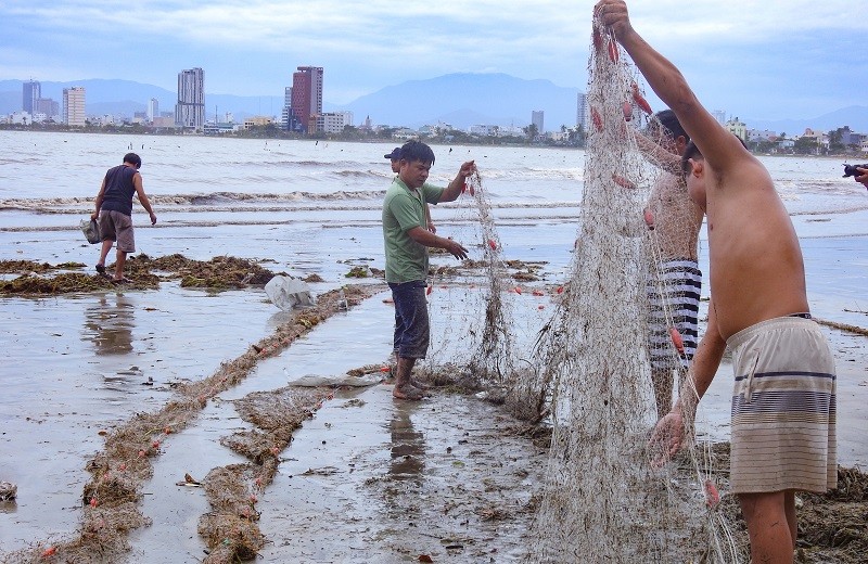 Ngư dân Đà Nẵng sửa sang thuyền bè, bắt cá bên bờ ngay sau bão