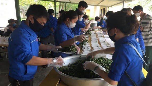 Các đoàn viên đang chuẩn bị cơm trưa cho người dân tại khu cách ly.
