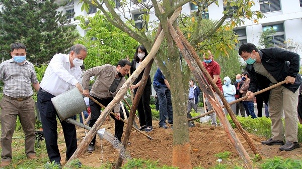 Ông Phan Ngọc Thọ, Chủ tịch UBND tỉnh Thừa Thiên Huế (trái) và ông Phạm Như Hiệp, Giám đốc Bệnh viện Trung ương Huế (phải) cùng chung tay trồng mai vàng tại buổi lễ phát động.