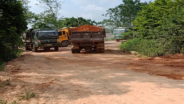 Hàng loạt xe nối đuôi nhau vào lấy đất, sau đó nhanh chóng vận chuyển ra khỏi khu vực khai thác