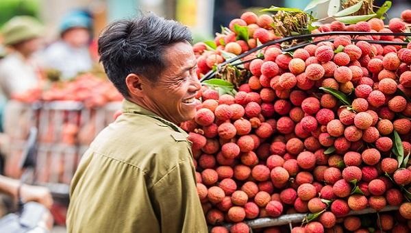 Tháo gỡ khó khăn cho tiêu thụ, vận chuyển nông sản trong mùa dịch. Ảnh minh họa