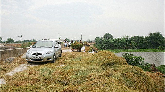 Đời sống dân cư nông thôn đang được cải thiện đáng kể: Bình quân cứ 70 hộ dân có 1 chiếc ô tô. Ảnh minh họa