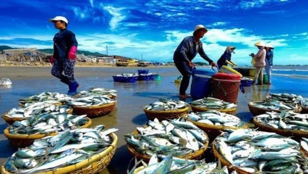 Các đối tượng lừa đảo lập website giả danh các công ty xuất khẩu thủy sản có thật với đầu mối liên hệ là giả mạo.
