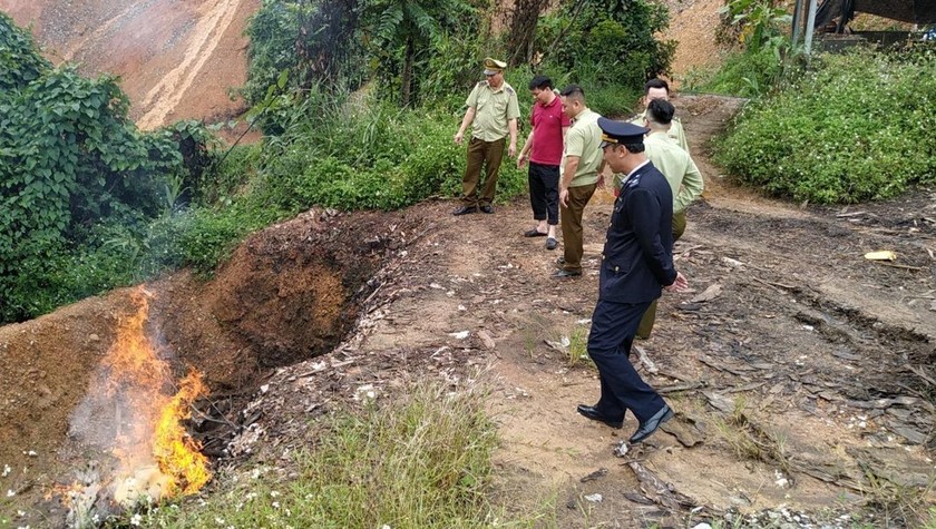Lực lượng chức năng giám sát quá trình tiêu hủy tang vật vi phạm.