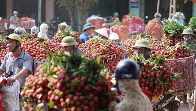 thực hiện các biện pháp cách ly y tế phòng, chống dịch COVID-19 bảo đảm đúng quy định.