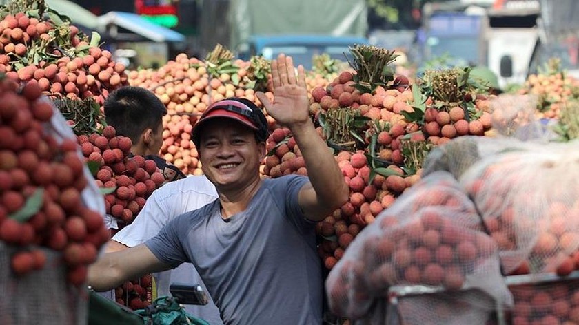 Việc kết nối tiêu thụ nông sản trên nền tảng số được coi là một trong những giải pháp hiệu quả trong giai đoạn hiện nay.