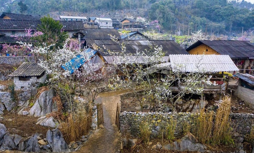 Xuân đang về trên những nẻo đường Hà Giang.