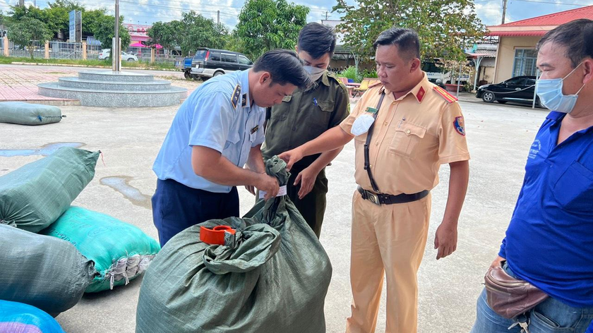 Đoàn Kiểm tra thực hiện việc kiểm tra, niêm phong hàng hóa.