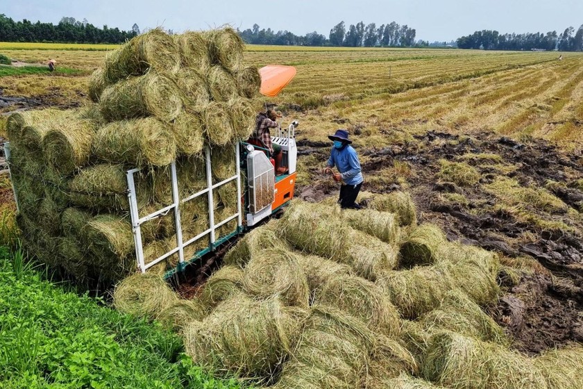 Nông - lâm nghiệp và thủy sản là lĩnh vực đề xuất chính sách thử nghiệm phát triển KTTH. 