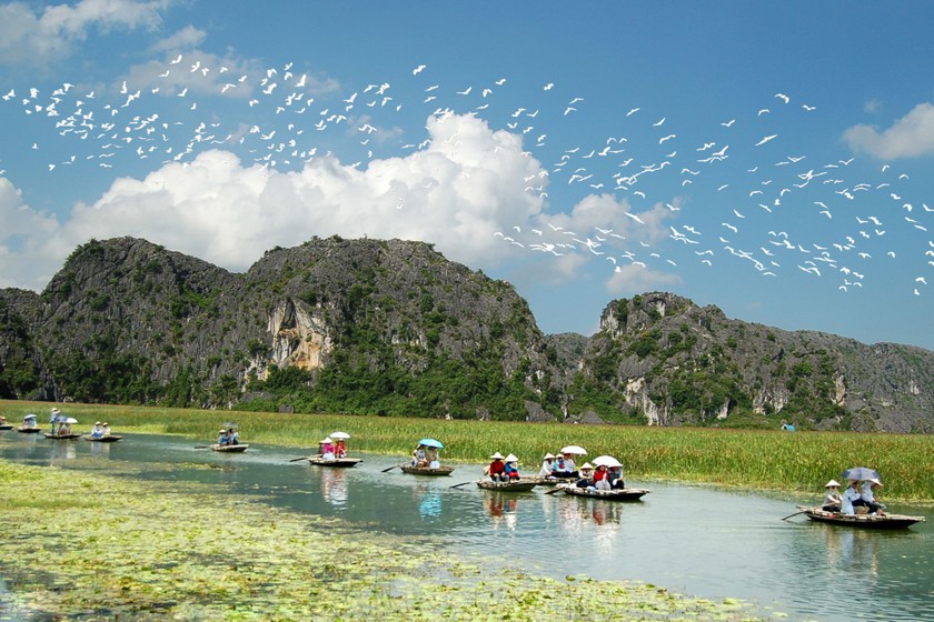 Khu bảo tồn thiên nhiên đất ngập nước Vân Long. (Nguồn: Sở Du lịch Ninh Bình)