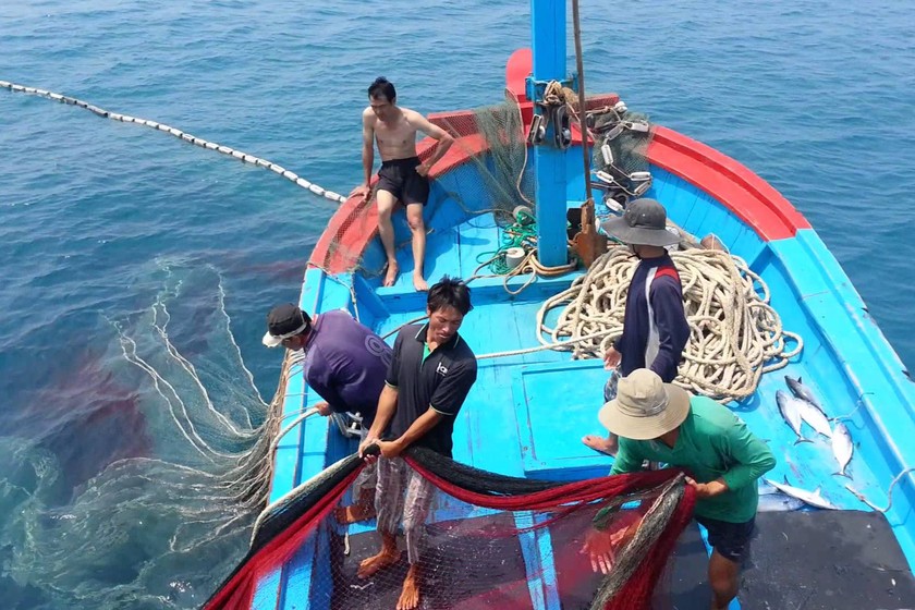 Thủ tướng yêu cầu tập trung thực hiện các nhiệm vụ, giải pháp chống khai thác hải sản bất hợp pháp. (Ảnh minh họa)