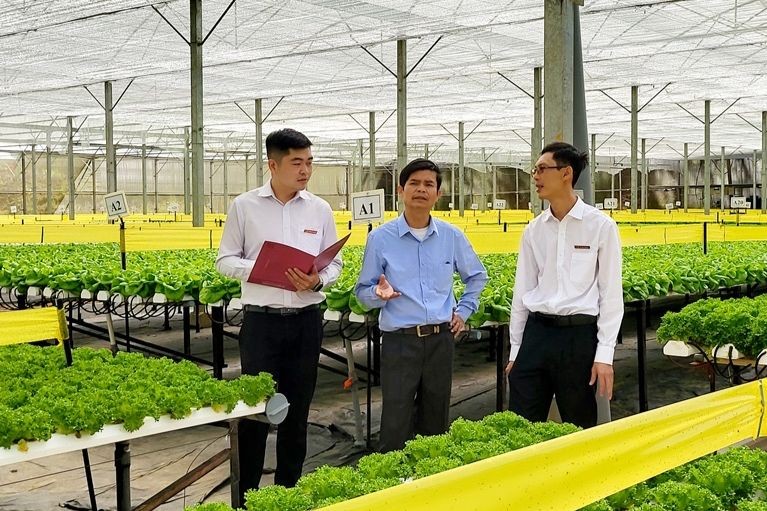 Agribank tiếp tục điều chỉnh giảm lãi suất hỗ trợ khách hàng phục hồi sau dịch COVID-19