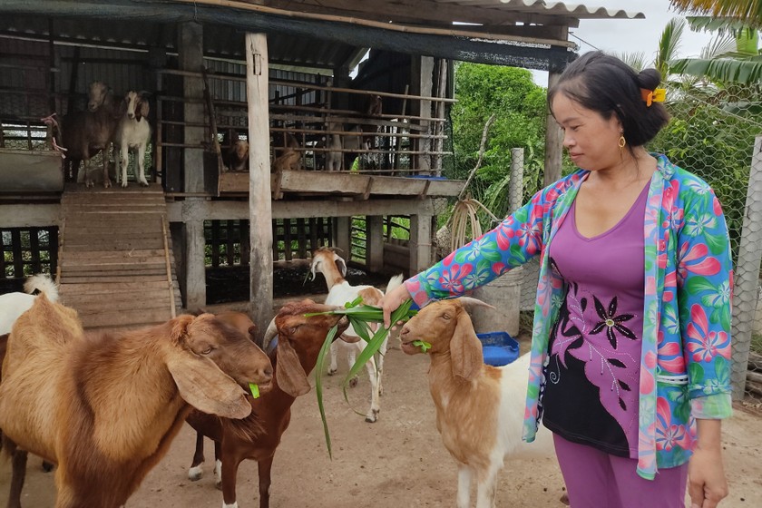 Gia đình bà Danh Thị Thành nay đã ổn định, khấm khá hơn nhờ vào nguồn vốn vay NHCSXH.