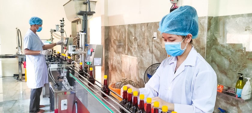 Để nước mắm có hương vị và chất lượng tốt nhất, khâu chế biến phải đảm bảo các yêu cầu nghiệm ngặt.