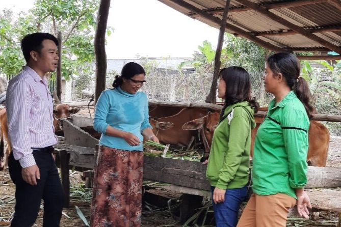 Nông dân huyện Ia Pa phát triển chăn nuôi từ vốn tín dụng chính sách.