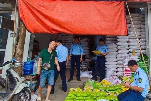 Lực lượng quản lý thị trường kiểm tra một cửa hàng có dấu hiệu bán giả mạo gạo ST25 mang nhãn hiệu Ông Cua. (Ảnh: Quản lý thị trường)