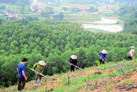 Ảnh minh họa (Ảnh: Báo Nhân dân).