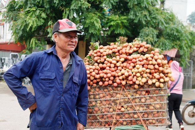  Nông dân Bắc Giang phấn khởi vì vải thiều bán được giá cao. (Ảnh: Nguyễn Thắng)