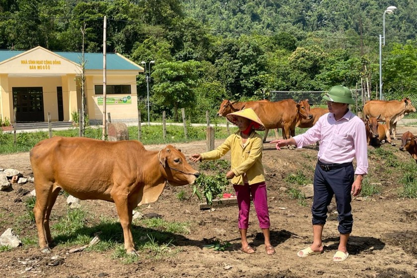 Mô hình vay vốn phát huy tốt hiệu quả của bà Hồ Thị Pấy ở bản Mò O Ồ Ồ, xã Thượng Hóa.