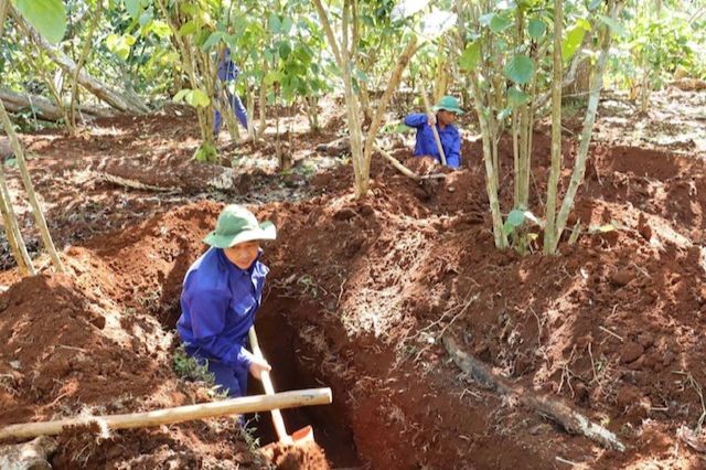 ĐQT 192 tìm kiếm HCLS tại bản Đông, huyện Lào Ngam, tỉnh SaLaVan. (Ảnh: Quỳnh Nga).