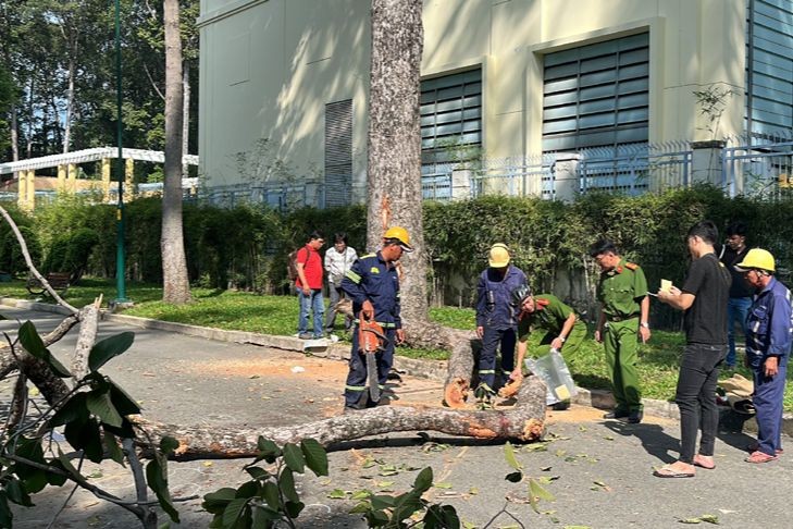 Hiện trường vụ tai nạn cành cây rơi tại công viên Tao Đàn (quận 1, TP HCM) khiến 5 người thương vong (Ảnh: Báo tin tức).