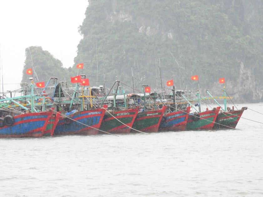 Tàu thuyền chủ động neo đậu tránh trú bão.