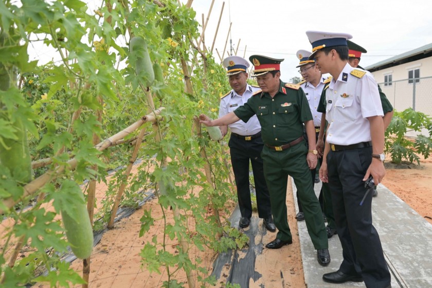 Trung tướng Trần Duy Giang, Chủ nhiệm Tổng cục Hậu cần khảo sát thực tế một khu trồng bí. 