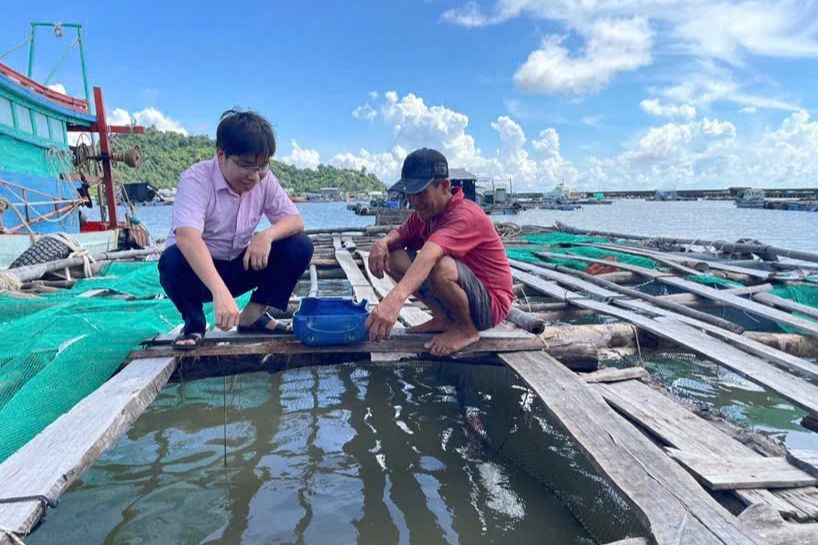 Tín dụng chính sách: Động lực thúc đẩy kinh tế - xã hội bền vững tại Kiên Giang