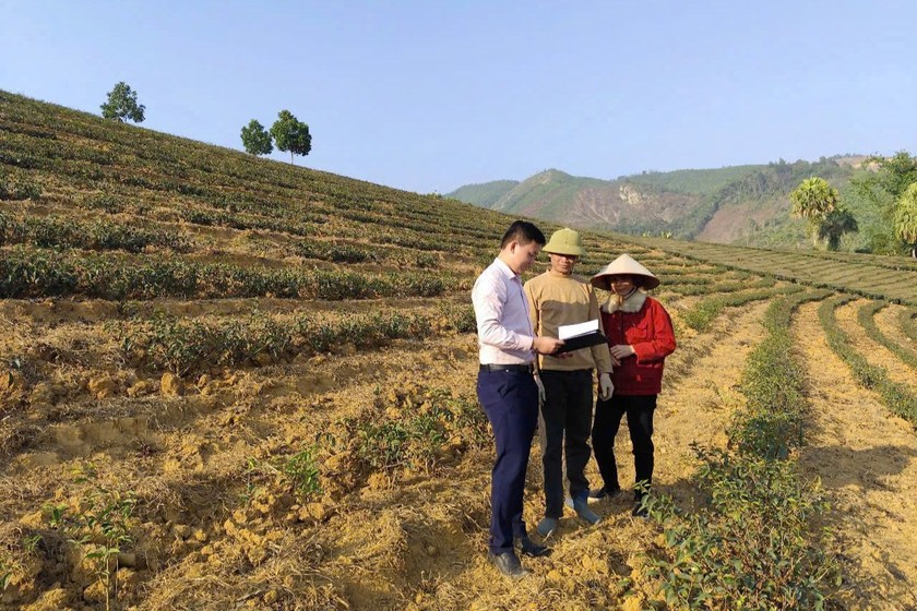 Cuộc sống của người dân Tân Sơn, Phú Thọ đang ngày càng ổn định từ khi có nguồn vốn tín dụng chính sách.