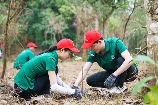 Nestlé Việt Nam nỗ lực bảo vệ rừng, góp phần giảm tác động từ biến đổi khí hậu. (Ảnh: Nestlé Việt Nam )