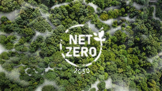 Việt Nam đã vạch ra một lộ trình chi tiết để hiện thực hóa cam kết Net Zero vào năm 2050. (Ảnh: Shutterstock).