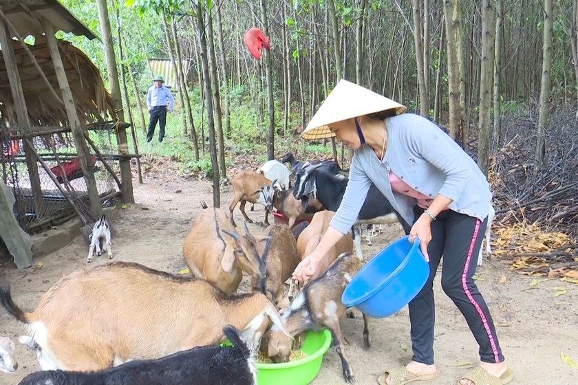 Mô hình vay vốn hiệu quả ở xã Tân Hóa. (Ảnh: NHCSXH) 